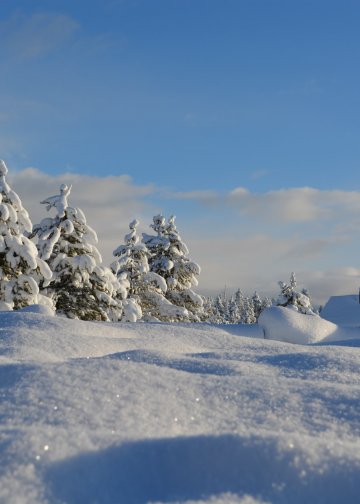Die 5 schönsten Weihnachts-Reiseziele für Verliebte